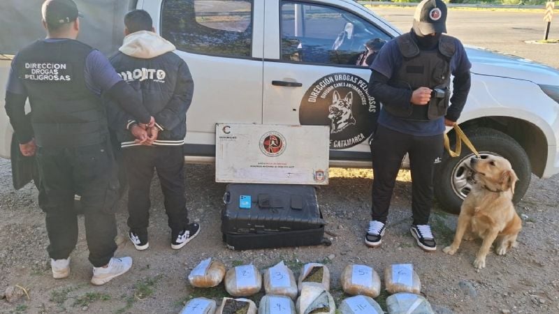 Cayó con más de 12 kilos de marihuana en un colectivo