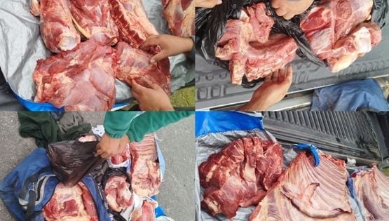 Le secuestraron 50 kilos de carne que transportaba sin la cadena de frío