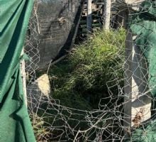 Robo y daños paralizan el trabajo de una cooperativa ecológica en Valle Viejo