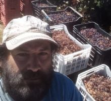 Bodega municipal anunció una medida que perjudica productores