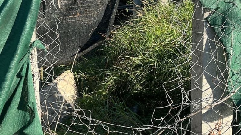 Robo y daños paralizan el trabajo de una cooperativa ecológica en Valle Viejo