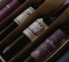 Día Mundial del Malbec: la cepa emblema de la Argentina