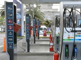 Pese a la caída del petróleo, en Argentina descartan una baja de la nafta en el corto plazo