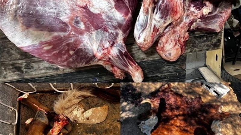 Policías irrupieron en una vivienda y secuestraron carne faenada