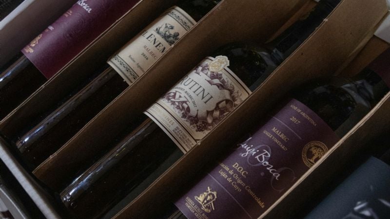 Día Mundial del Malbec: la cepa emblema de la Argentina