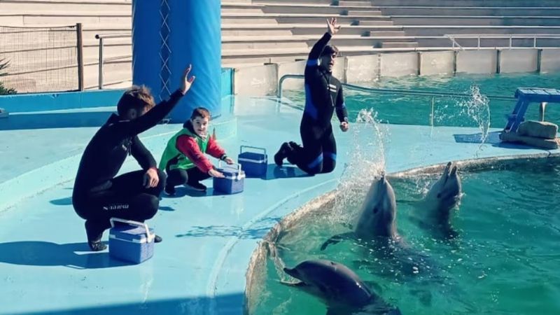 Cerró el Aquarium de Mar del Plata y hay preocupación por el destino de 66 animales