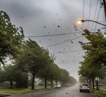 Anticipan la llegada de un Súper El Niño: qué significa y cómo impactará en Argentina