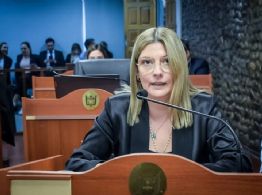 Unificación de ministerios: Alicia Paz elevó un pedido de informe al Ejecutivo