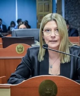 Unificación de ministerios: Alicia Paz elevó un pedido de informe al Ejecutivo