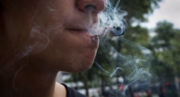 El consumo de cannabis en adolescentes afecta la memoria y la función cognitiva