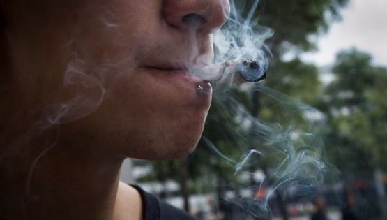 El consumo de cannabis en adolescentes afecta la memoria y la función cognitiva