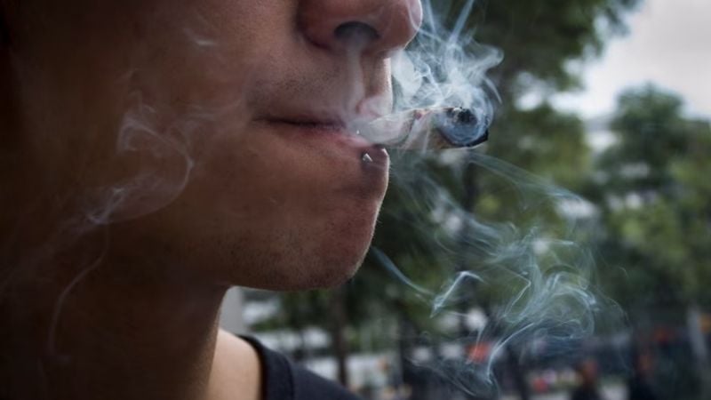 El consumo de cannabis en adolescentes afecta la memoria y la función cognitiva