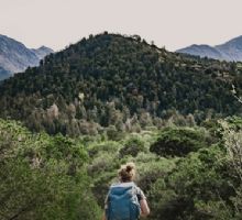 Seguro de asistencia al viajero: qué es, qué cubre y por qué contratarlo antes de salir