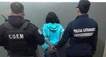 Una mujer fue arrestada por arrojar piedras contra un negocio