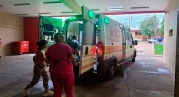 Un nene de 7 años fue atacado por siete perros mientras jugaba en el patio de su casa