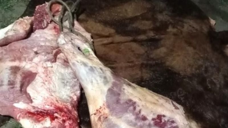 Encontraron carne faenada clandestinamente junto a las vías del tren