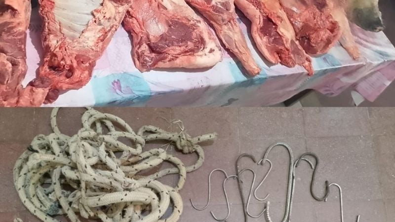 Incautaron carne de cerdo faenada ilegalmente