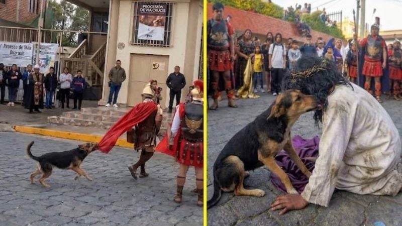 Un perro muerde a actores que representaban a soldados romanos y luego lame la cara de Jesús
