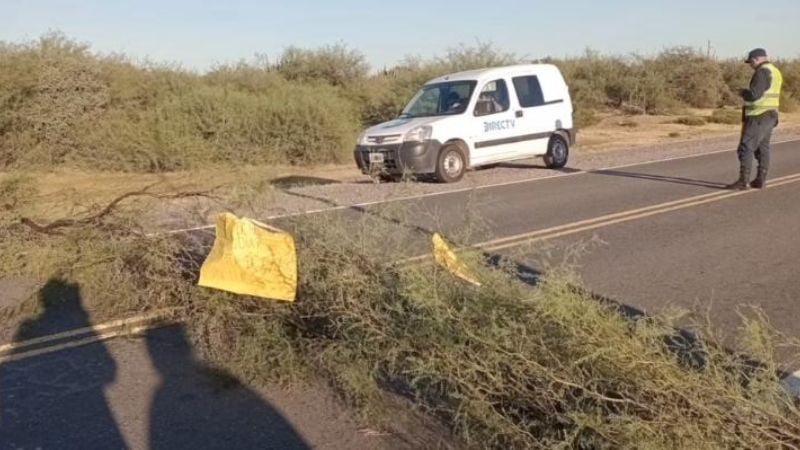 Corte en Ruta 60: vecinos de Telaritos reclaman por educación y transporte para estudiantes