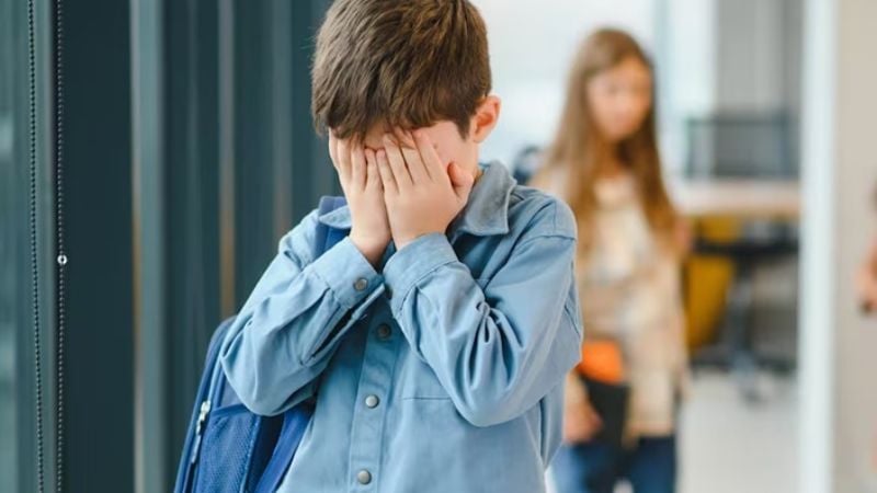 Las escuelas de Salta sancionarán a los padres por casos de bullying