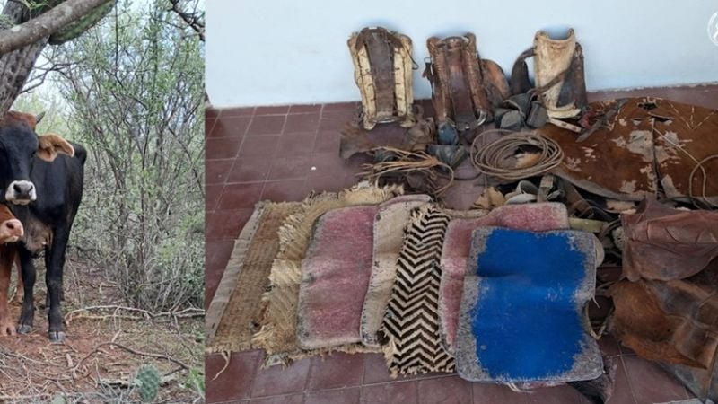 Dos detenidos por abigeato