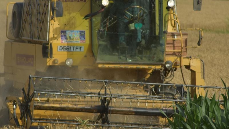 Azerbaiyán fortalece su abastecimiento de trigo con un marcado incremento de importaciones