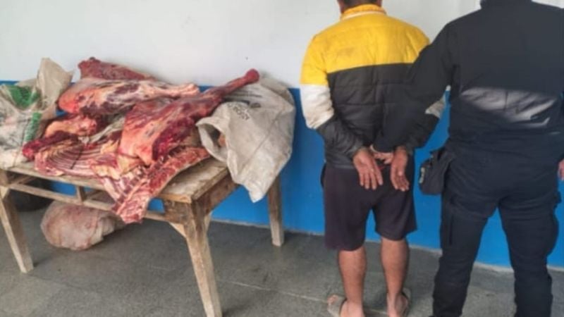 Robó un animal y lo faenó clandestinamente