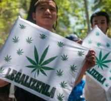 Catamarca sede de la primera Marcha Mundial de la Marihuana