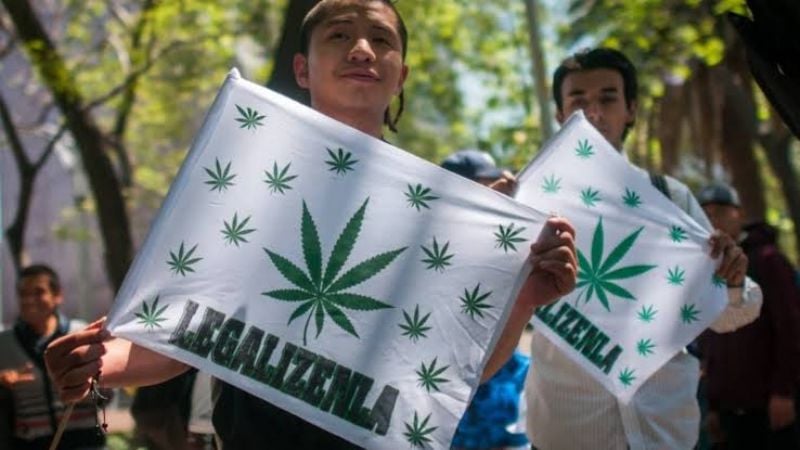 Catamarca sede de la primera Marcha Mundial de la Marihuana