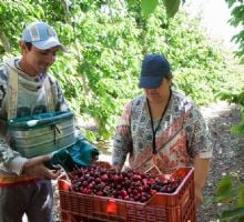 El RENATRE aumentó la Prestación por Desempleo a partir de mayo