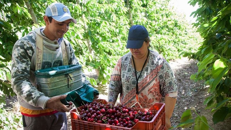 El RENATRE aumentó la Prestación por Desempleo a partir de mayo