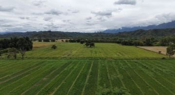 Especialistas del INTA brindarán una capacitación sobre drones agrícolas