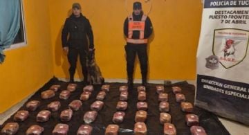 Dos mujeres se enviaron una encomienda de Salta a Tucumán con 48 kilos de marihuana