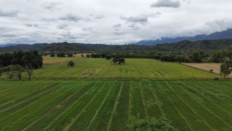 Especialistas del INTA brindarán una capacitación sobre drones agrícolas