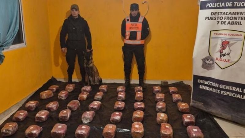 Dos mujeres se enviaron una encomienda de Salta a Tucumán con 48 kilos de marihuana
