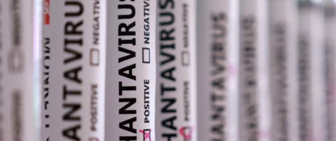 Descartan una mutación del hantavirus tras el brote fatal en un crucero