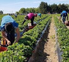 Cuánto gana un trabajador rural a partir de mayo de 2026