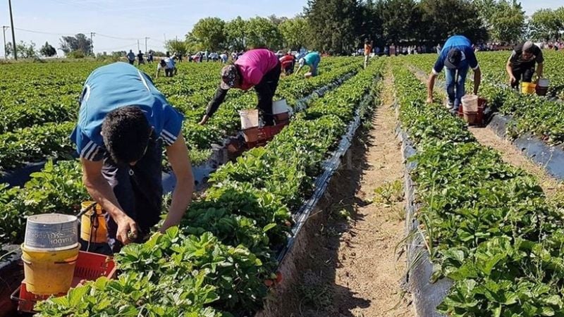 Cuánto gana un trabajador rural a partir de mayo de 2026