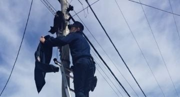 Rescataron a un gatito que se subió a un poste de luz