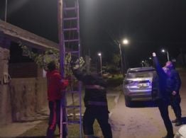 Rescataron a un gato que había quedado atrapado en un poste de luz en Valle Chico