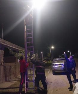 Rescataron a un gato que había quedado atrapado en un poste de luz en Valle Chico