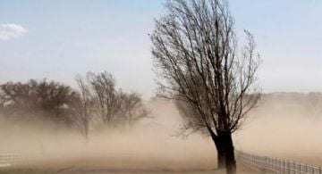 Alerta por fuertes vientos para el Valle Central