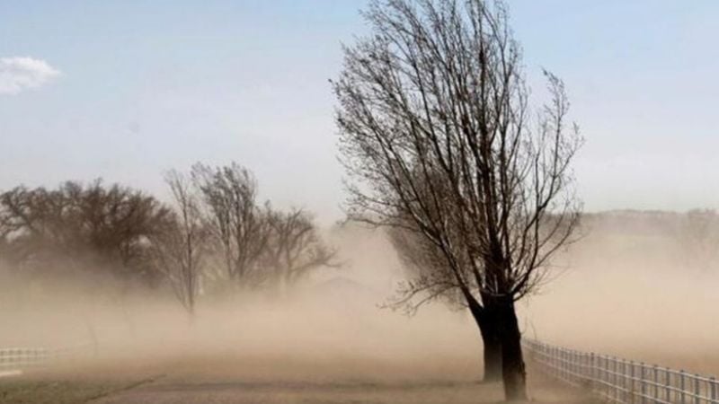 Alerta por fuertes vientos para el Valle Central