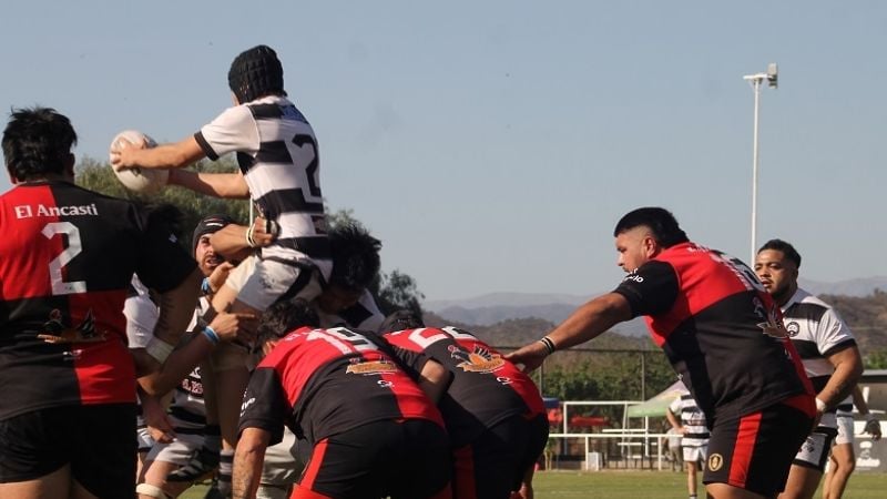 Los Teros recibe a Hurones, por la Andina