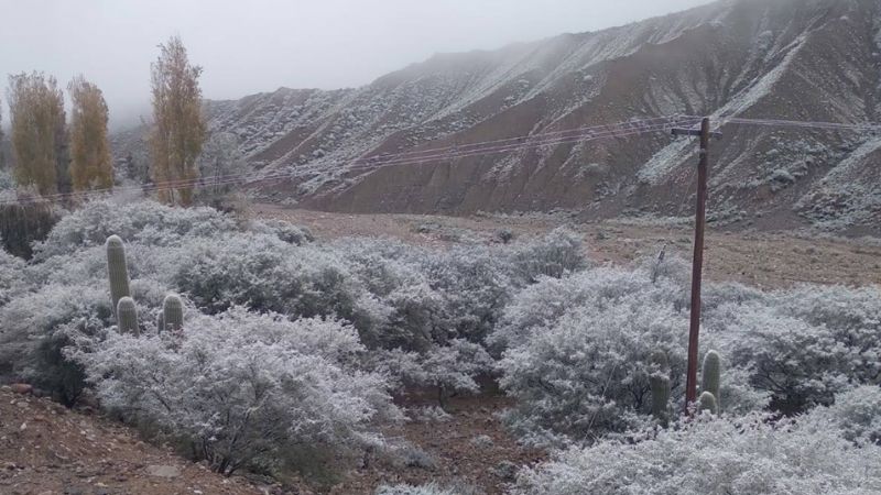 El Norte de Belén recibió las primeras nevadas