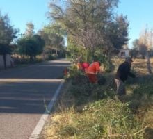 Vialidad Nacional realiza tareas de desmalezado
