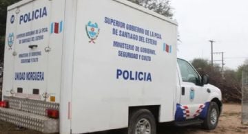 Un hombre de 91 años murió tras ser atacado por abejas