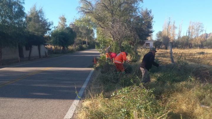 Vialidad Nacional realiza tareas de desmalezado
