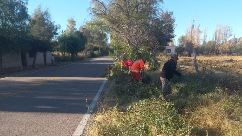 Vialidad Nacional realiza tareas de desmalezado