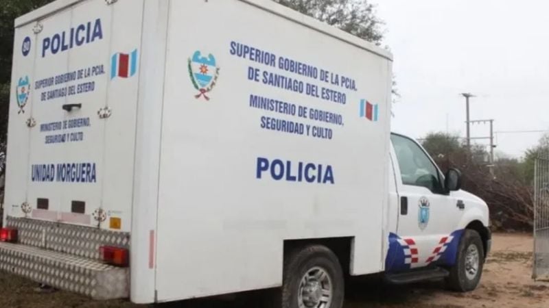 Un hombre de 91 años murió tras ser atacado por abejas